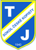 Wappen TJ Sokol České Kopisty  42049