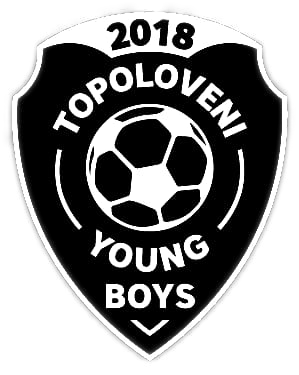 Wappen Young Boys Topoloveni
