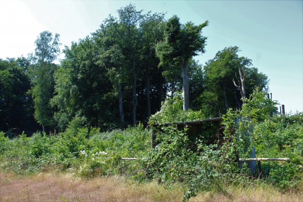 Sportplatz an der Burg - Marl-Sinsen