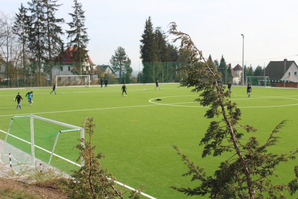 Waldstadion Nebenplatz - Rosenbach/Vogtland-Syrau