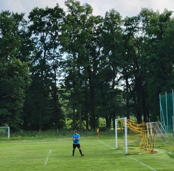 Boisko w Okmianach - Okmiany