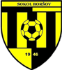 Wappen TJ Sokol Boršov
