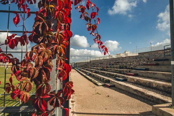 Stadio Comunale Viale Olimpia - Locorotondo