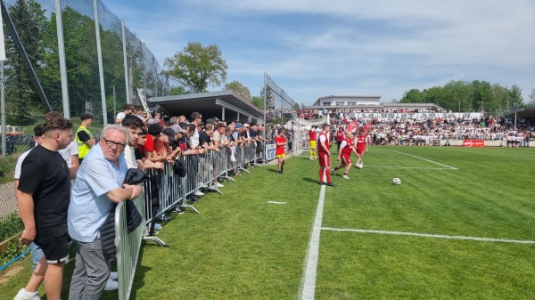 Felsenstadion - Buch/Schwaben