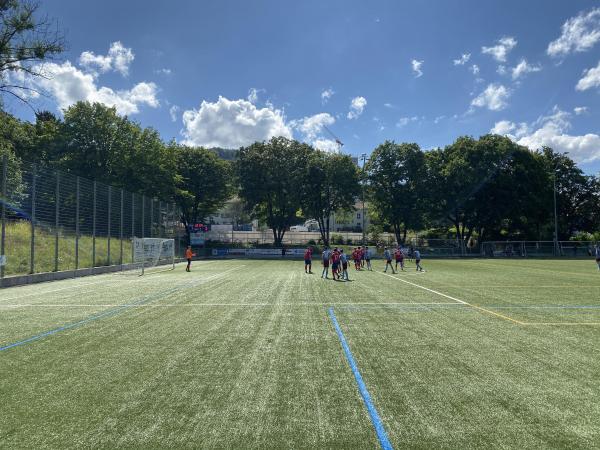 Sportplatz Heuried - Zürich