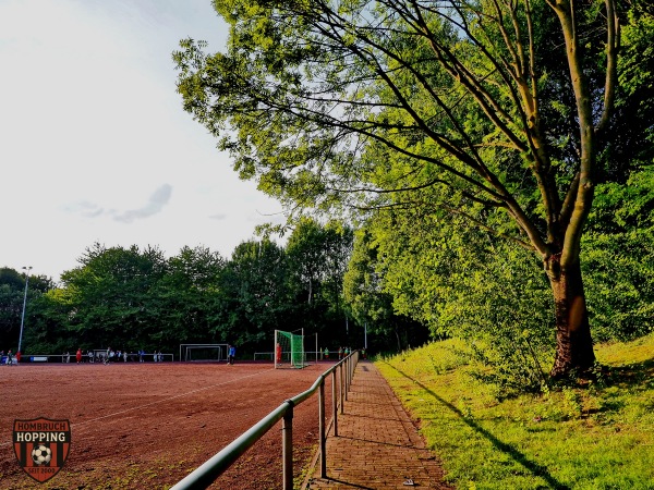 Wiecorek-Reisen Arena - Herne-Altenhöfen
