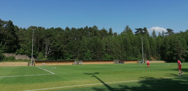 Stade Émile Mayrisch terrain annexe - Esch-Uelzecht (Esch-sur-Alzette)