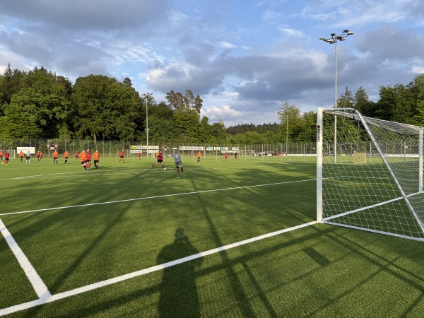 Sportanlage Bodenweid Platz 1 - Bern