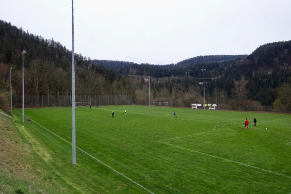 Terrain de Champ Nauger - Les Brenets