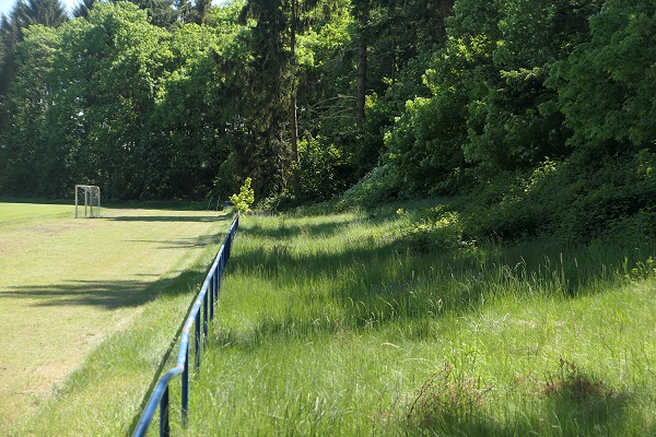 Stadion Riesebusch - Bad Schwartau