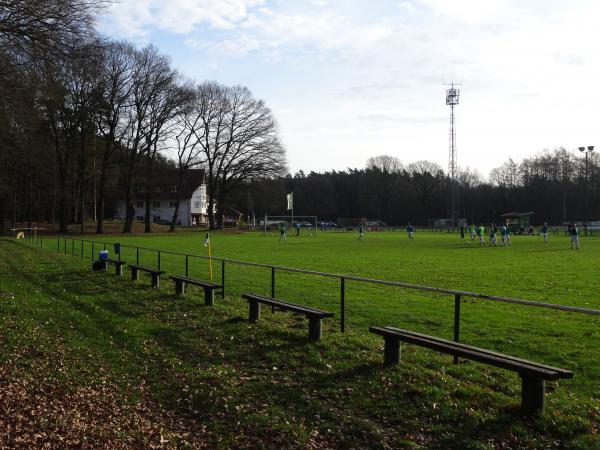 Allerkampfbahn B-Platz - Hodenhagen