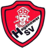 Wappen Hagenower SV 2010 II