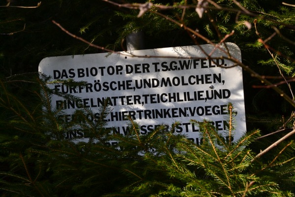 Sportplatz am Hirschwald - Wilhelmsfeld