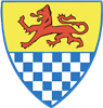 Wappen FC Oberwinterthur diverse  28588