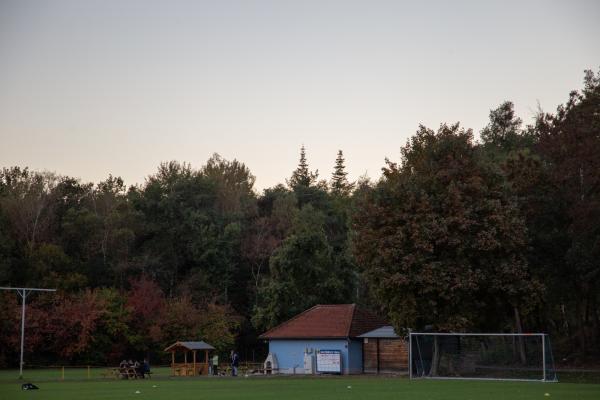 Gustav-Schickedanz-Stadion Nebenplatz 1 - Fürth/Mittelfranken-Oberfürberg