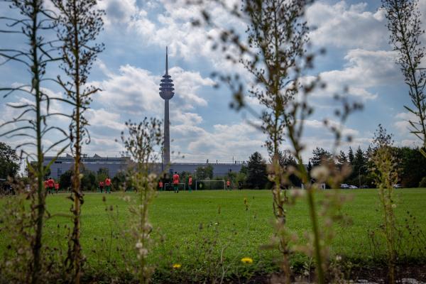 Viktoria-Sportanlage Tillypark - Nürnberg-Schweinau