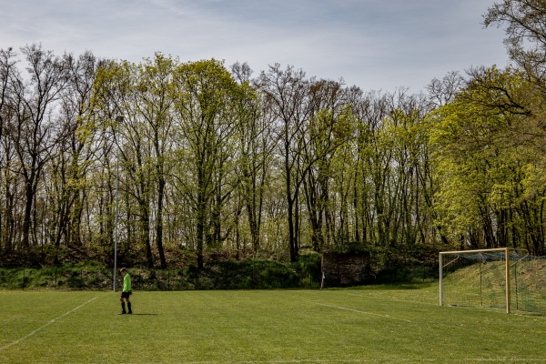 Hartenfelsstadion Nebenplatz 1 - Torgau