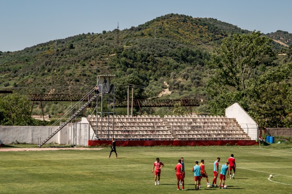 Stadiumi Adush Muça - Ballshi