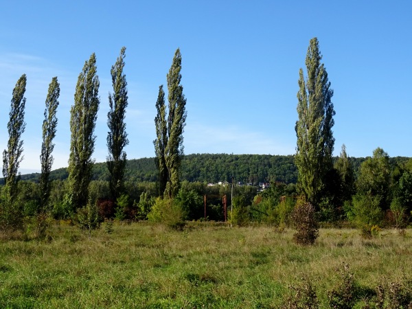 Dynamo-Stadion - Rudolstadt