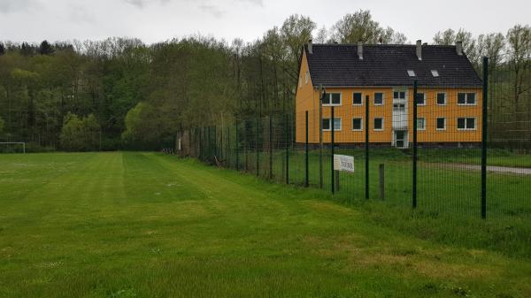 Sportplatz an der Schule - Königsee-Rottenbach