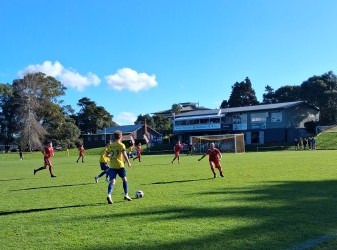 Taharoto Park - Auckland