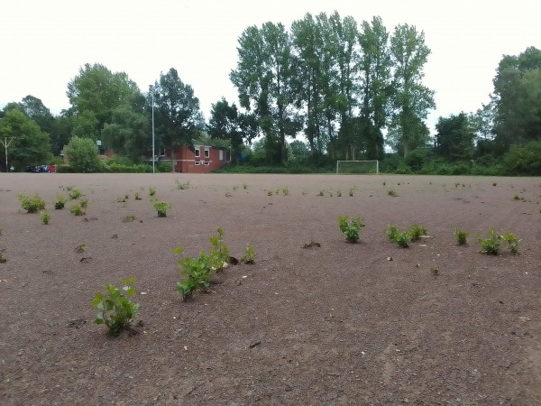 Cometplatz B - Kiel-Wellingdorf