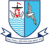 Wappen ehemals Salthill Devon FC