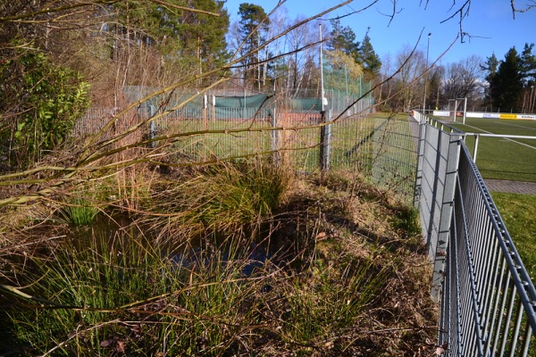 Sportplatz am Hirschwald - Wilhelmsfeld