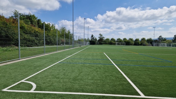 Sportanlage Eichrain Platz 3 - Zürich