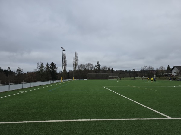 Sportanlage Am Hirschgraben Platz 2 - Egenhausen