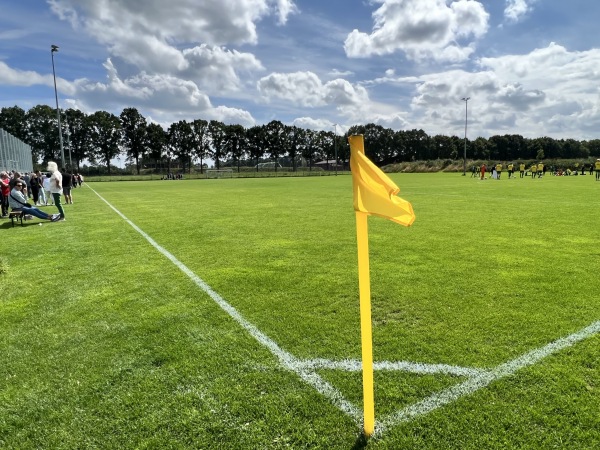 Sportanlage Brunsmannstraße Platz 2 - Bocholt-Suderwick