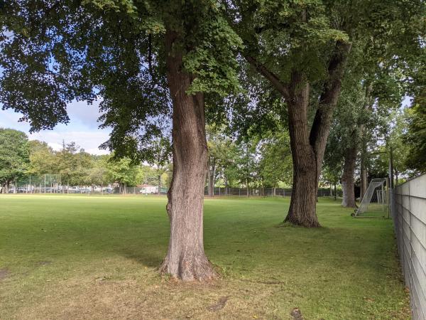 VT-Platz am Ostpark - Frankenthal/Pfalz