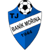 Wappen TJ Baník Mořina