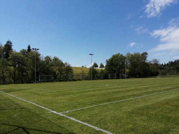 Sportplatz Lienisberg - Walchwil