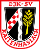 Wappen DJK SV Raitenhaslach 1958  54783