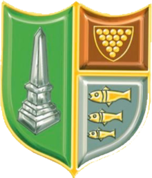 Wappen Bodmin Town FC  87494
