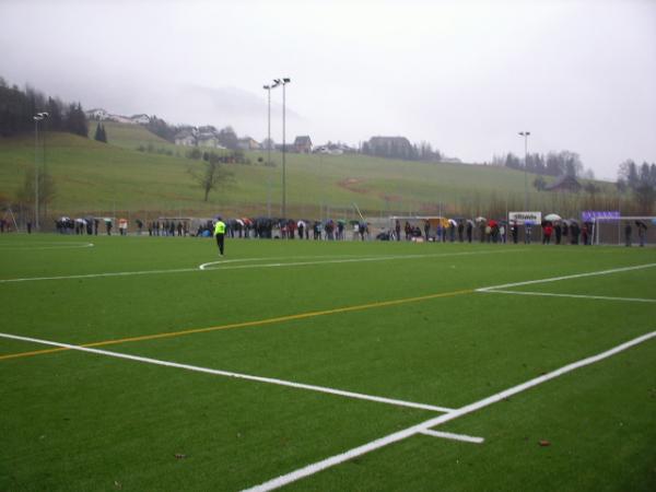 Sportplatz Ruopigen Platz 2 - Luzern