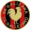Wappen NK Galižana