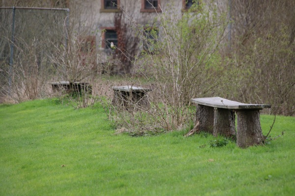 Sportplatz Pelm - Pelm