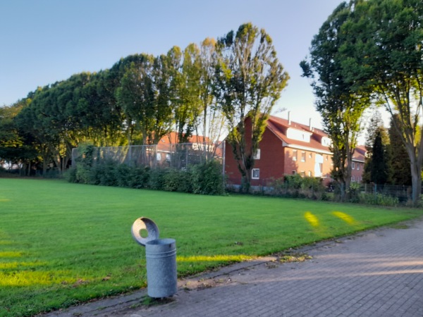 Sportanlage am Detlefsengymnasium - Glückstadt
