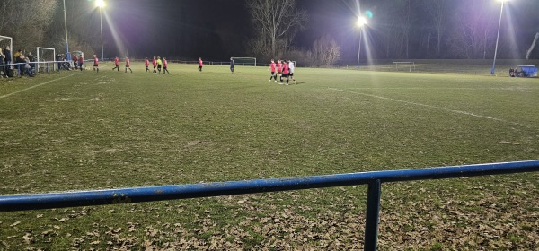 Sportanlage am Altrhein Platz 2 - Römerberg-Heiligenstein