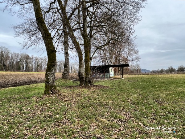 Sportplatz Oberholz - Rielasingen-Worblingen-Arlen