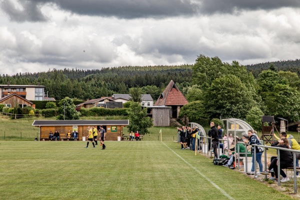 Sportplatz am Freibad - Steinberg/Vogtland-Wildenau