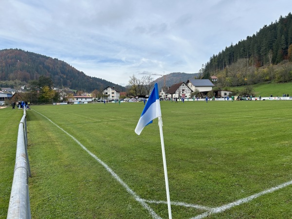 Sportplatz Hagenbrühl - Egesheim 