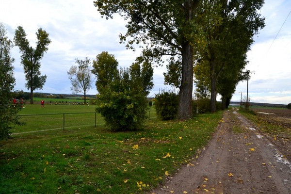 Sportplatz Steinberg - Erxleben/Börde-Klein Bartensleben