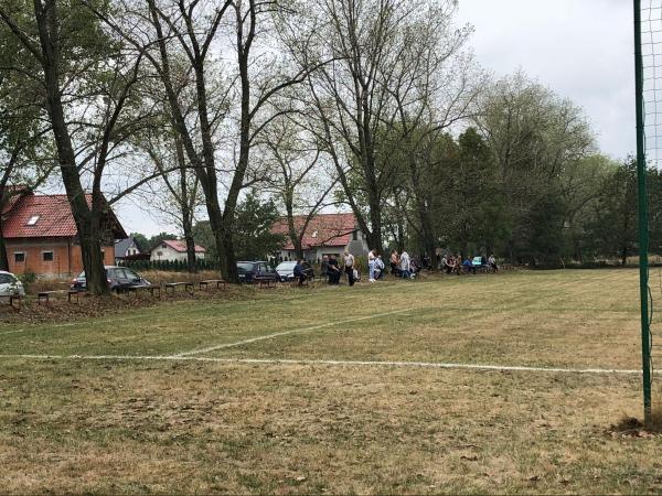Boisko w Goliszowie - Goliszów