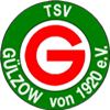 Wappen TSV Gülzow 1920 diverse
