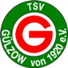 Wappen TSV Gülzow 1920 diverse  13679