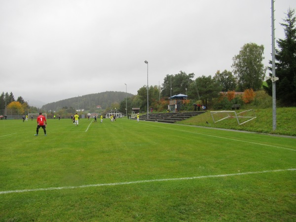 Waldsportanlage am Hang - Bischofsmais-Hochbruck