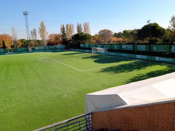 Estadio Valle de las Cañas - Pozuelo de Alarcón, MD